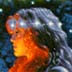 Freyja - Goddess of Love and Illumination - Greg Hilbebrandt